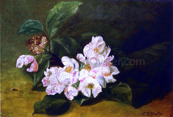  Charles Ethan Porter Apple Blossoms on a Ledge - Art Print
