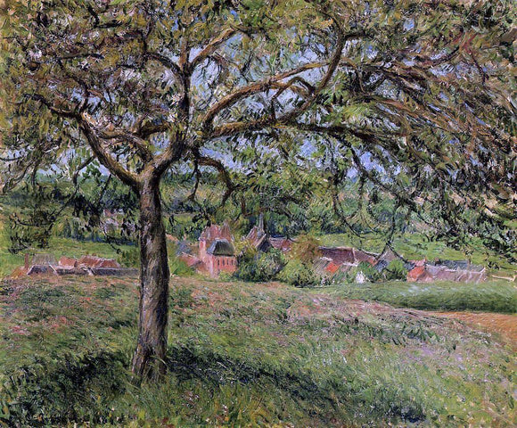  Camille Pissarro Apple Tree at Eragny - Art Print