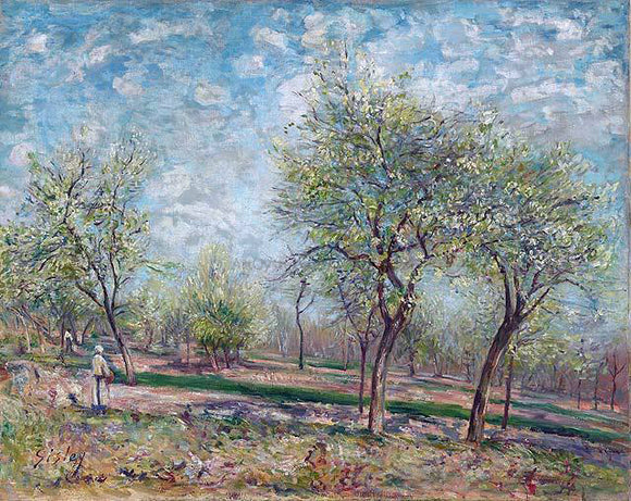 Alfred Sisley Apple Trees in Bloom - Art Print