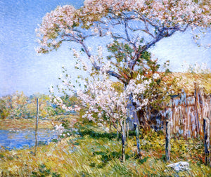  Frederick Childe Hassam Apple Trees in Bloom, Old Lyme - Art Print