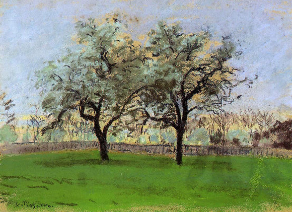  Camille Pissarro Apples Trees at Pontoise - Art Print