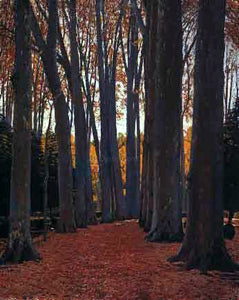  Santiago Rusinol Prats Arboles - Art Print