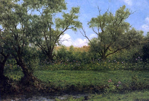 Martin Johnson Heade Asters in a Field (also known as Brookside) - Art Print