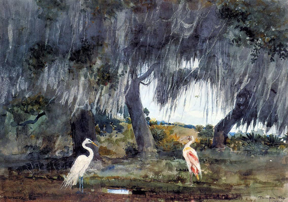  Winslow Homer At Tampa - Art Print