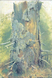  Ivan Ivanovich Shishkin Bark on dry up tree (etude) - Art Print