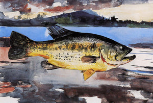  Winslow Homer Bass - Art Print