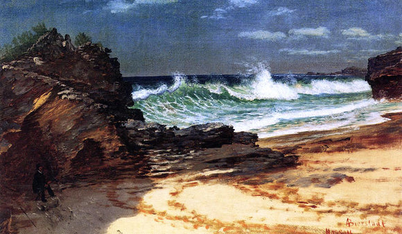  Albert Bierstadt A Beach at Nassau - Art Print