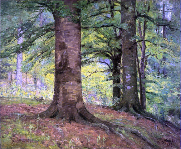  Theodore Clement Steele Beech Trees - Art Print