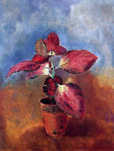  Odilon Redon Begonia in a Pot - Art Print