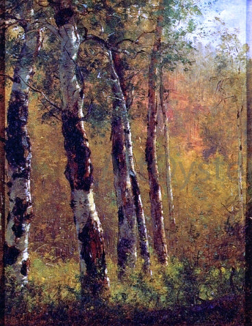  Thomas Worthington Whittredge Birch Trees - Art Print