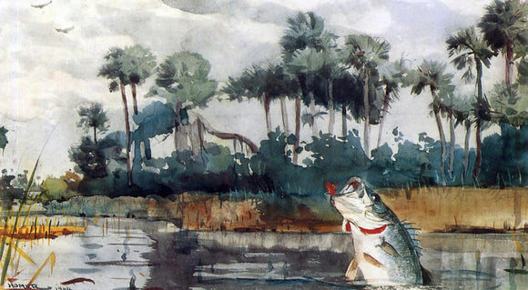  Winslow Homer Black Bass, Florida - Art Print