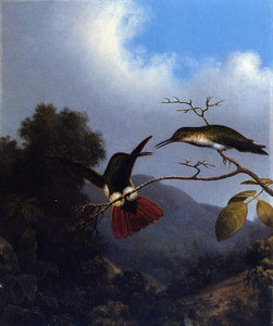  Martin Johnson Heade Black-Throated Mango - Art Print