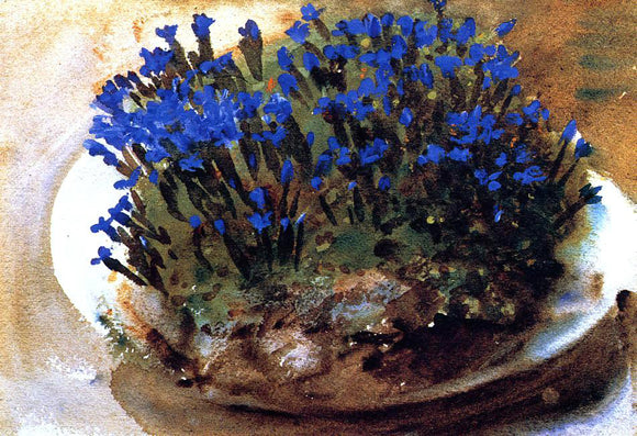  John Singer Sargent Blue Gentians - Art Print