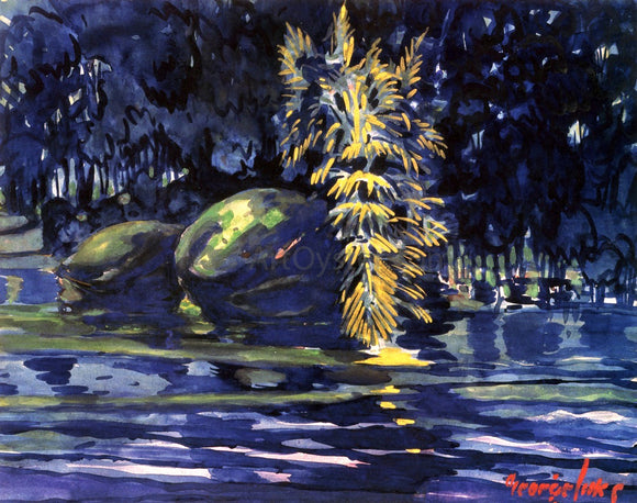  George Luks Boulders on a Riverbank - Art Print