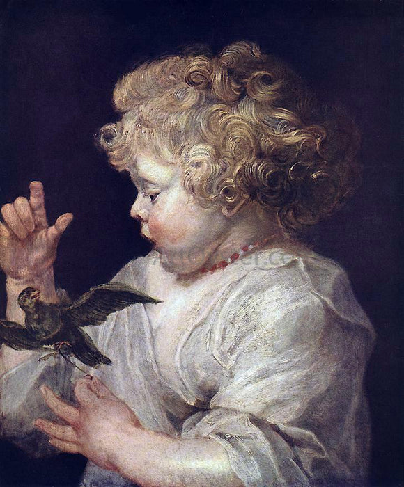  Peter Paul Rubens Boy with Bird - Art Print