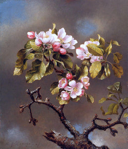  Martin Johnson Heade Branch of Apple Blossoms against a Cloudy Sky - Art Print