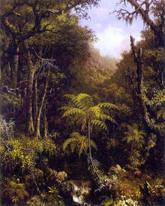  Martin Johnson Heade Brazilian Forest - Art Print