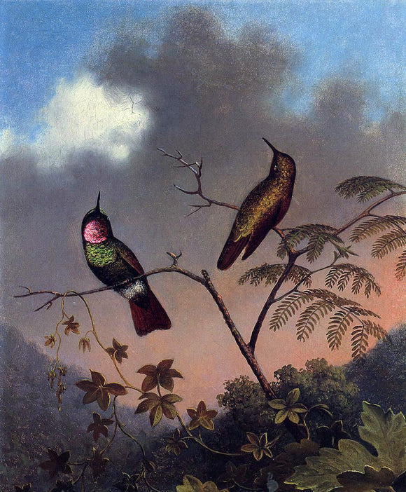  Martin Johnson Heade Brazilian Ruby Hummingbirds - Art Print