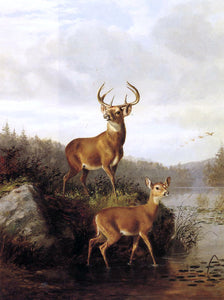  Arthur Fitzwilliam Tait Buck and Doe - Art Print