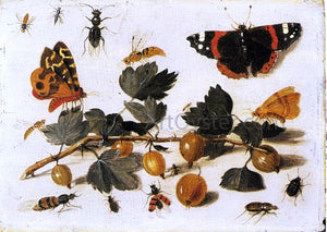  The Elder Jan Van Kessel Butterflies and Insects and a Spray of Gooseberries - Art Print