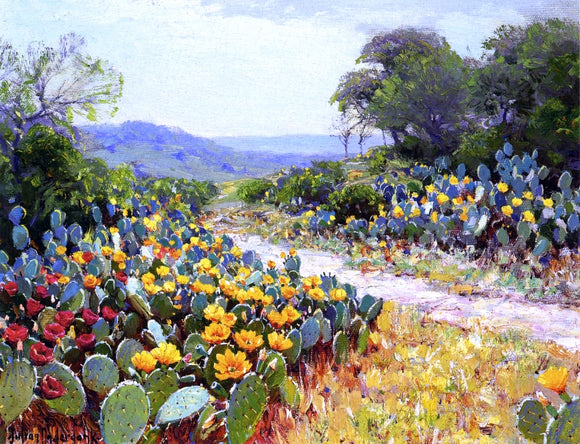  Julian Onderdonk Cactus in Bloom - Art Print