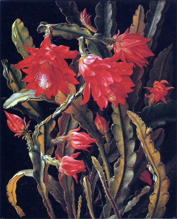  Christian Juel Mollback Cactus with Scarlet Blossoms - Art Print