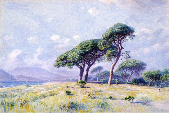  William Stanley Haseltine Cannes - Art Print