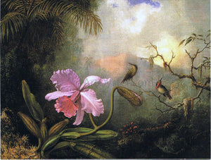  Martin Johnson Heade Carrleya Orchid with Two Hummingbirds - Art Print