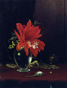  Martin Johnson Heade Chateau of Flower - Art Print