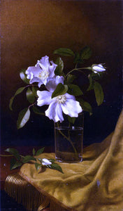  Martin Johnson Heade Cherokee Roses in a Glass on Gold Velvet Plush - Art Print