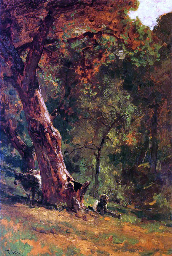  Thomas Hill Chinese Man Tending Cattle - Art Print