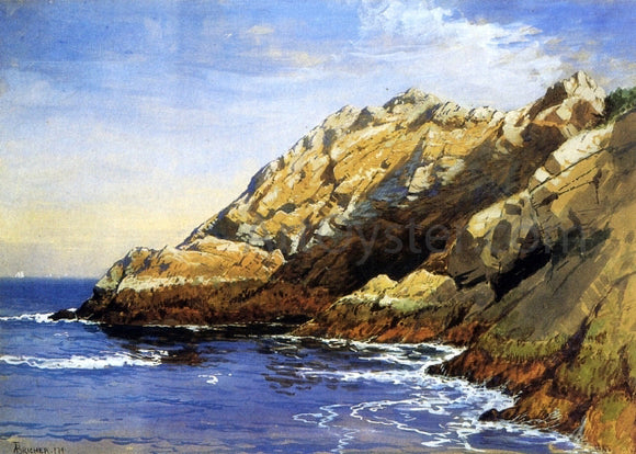  Alfred Thompson Bricher Cliffs, Dana's Island - Art Print