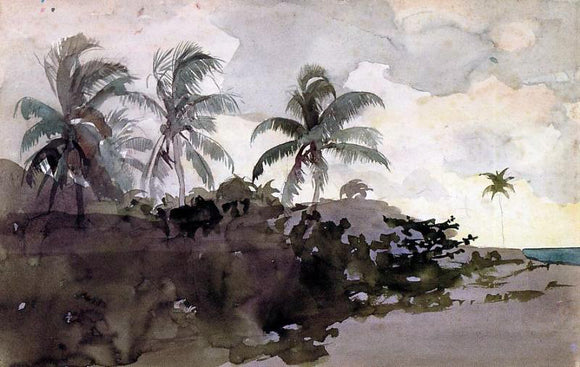  Winslow Homer Coconut Palms - Art Print