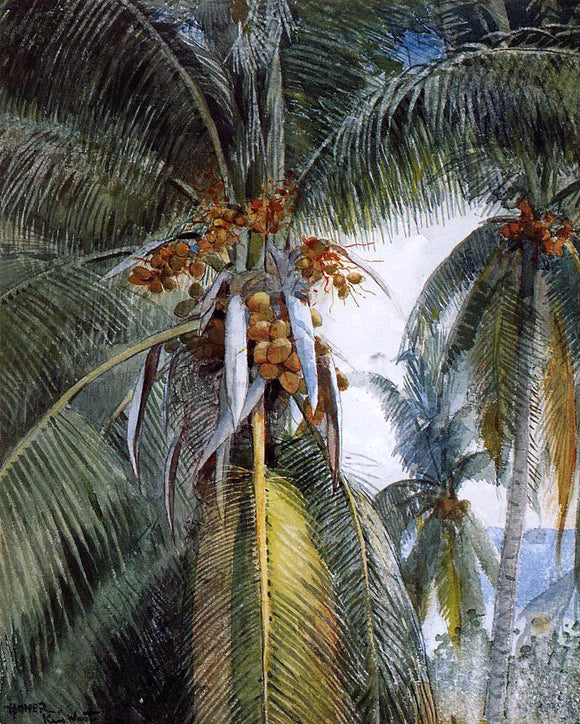  Winslow Homer Coconut Palms, Key West - Art Print