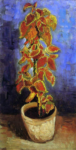  Vincent Van Gogh Coleus Plant in a Flower Pot - Art Print