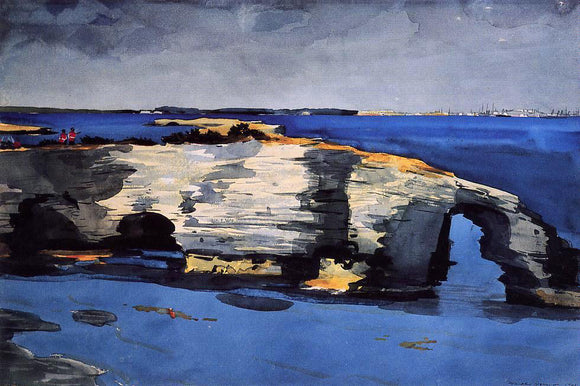  Winslow Homer Coral Formation - Art Print