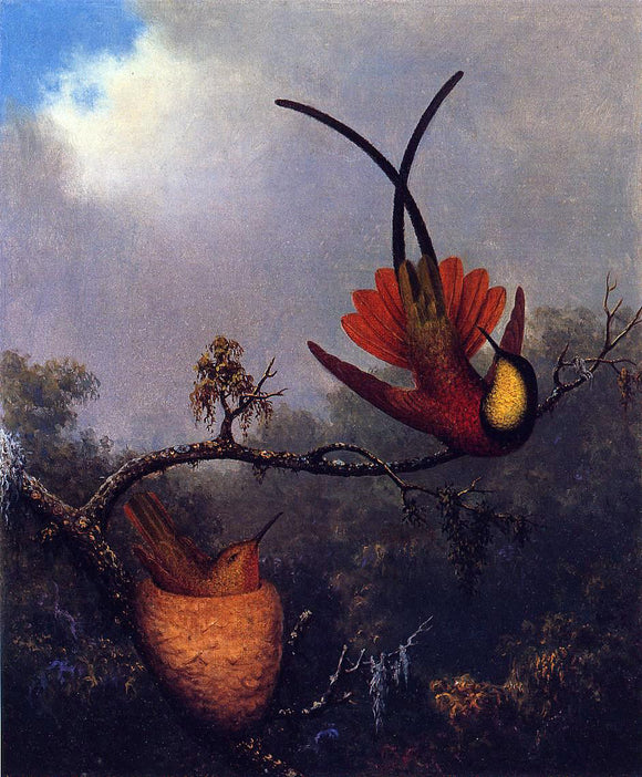  Martin Johnson Heade Crimson Topaz - Art Print