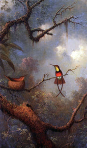  Martin Johnson Heade Crimson Topaz Hummingbirds Nesting in a Tropical Forest - Art Print
