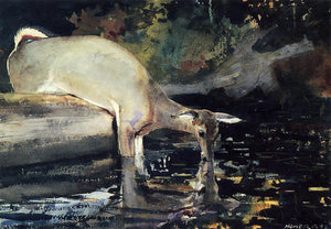  Winslow Homer A Deer Drinking - Art Print