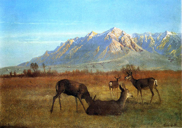 Albert Bierstadt Deer in a Mountain Home - Art Print