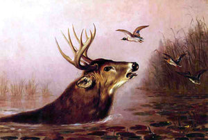  Arthur Fitzwilliam Tait A Deer in Marsh - Art Print