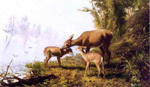  Arthur Fitzwilliam Tait Deer in the Woods - Art Print