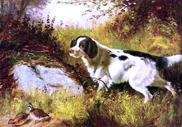  Arthur Fitzwilliam Tait Dog and Quail - Art Print