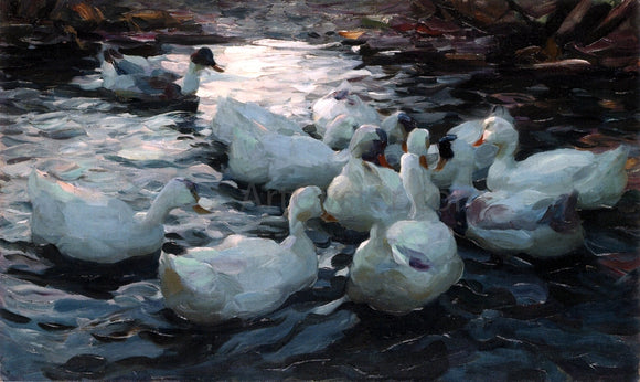  Alexander Koester Ducks Feeding - Art Print