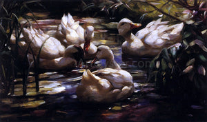  Alexander Koester Ducks in a Forest Pond - Art Print