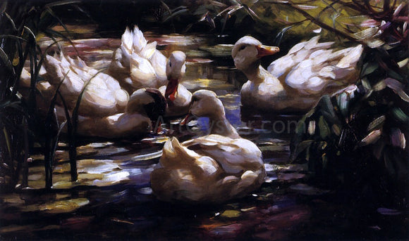  Alexander Koester Ducks in a Forest Pond - Art Print