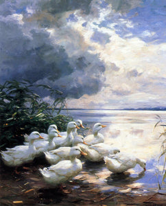  Alexander Koester Ducks in the Morning - Art Print