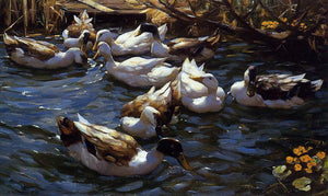  Alexander Koester Ducks in the Reeds under the Boughs - Art Print