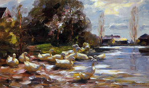  Alexander Koester Ducks on a Riverbank on a Sunny Afternoon - Art Print