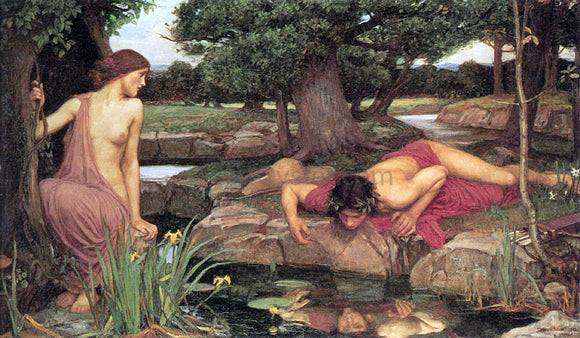  John William Waterhouse Echo and Narcissus - Art Print